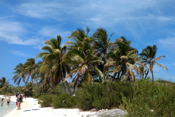 Isla Contoy and Isla Mujeres Tour with Snorkeling from Cancun - The party boat ride back to Cancun
