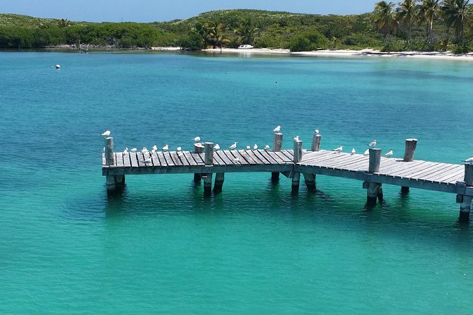 Isla Contoy and Isla Mujeres Tour with Snorkeling from Cancun - Starting at Punta Sam with a light breakfast