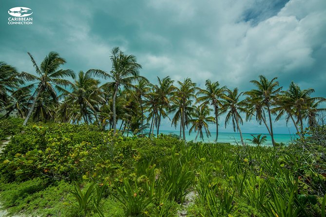 Isla Contoy Eco Adventure - The boat ride to the protected island