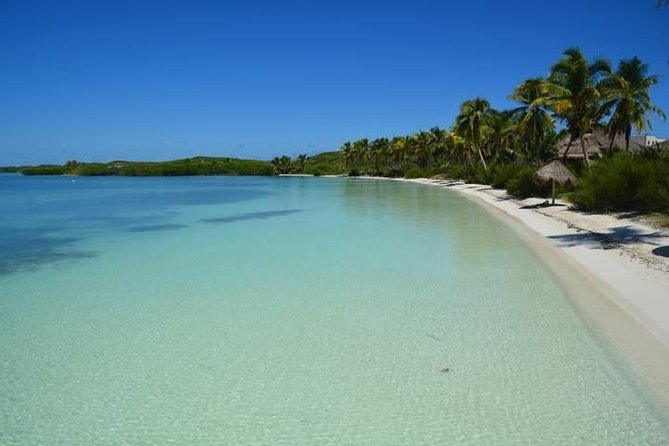 Isla Contoy Incredible Tour! Round Transportation From Cancun & Playa Del Carmen - Lunch with regional flavors