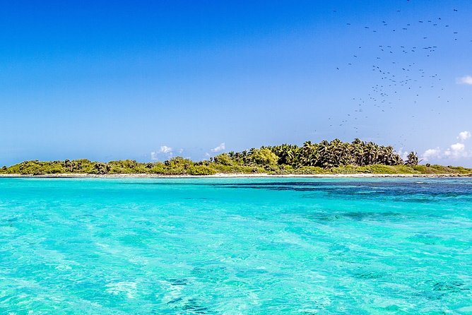 Isla Contoy Incredible Tour! Round Transportation From Cancun & Playa Del Carmen - What you actually get at Isla Mujeres