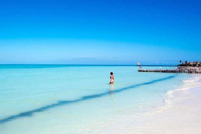 Isla Contoy & Isla Mujeres Tour from Cancun & Playa Del Carmen - Weather, sea conditions, and the flexible schedule