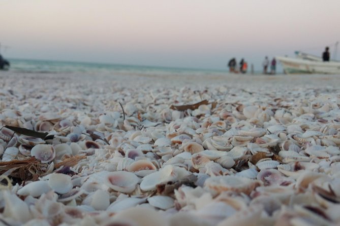 Isla Holbox All Inclusive with Transportation (Breakfast and Food Included) - Golf-cart touring on sandy streets