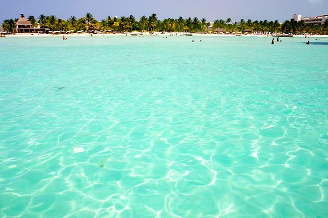 Isla Mujeres Catamaran Luxury Sailing Experience - Who will get the most from this catamaran day