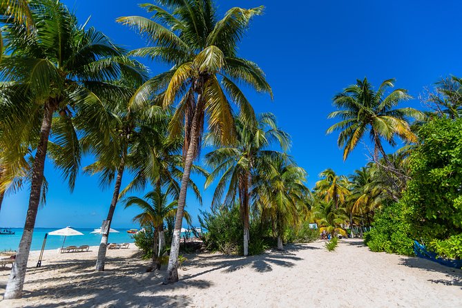 Isla Mujeres Catamaran, Open Bar & Optional Buffet and pick up - Isla Mujeres beach-club time