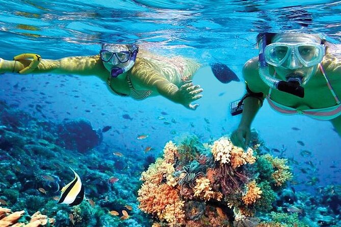Isla Mujeres Catamaran, Open Bar & Optional Buffet and pick up - The return sail to Cancun