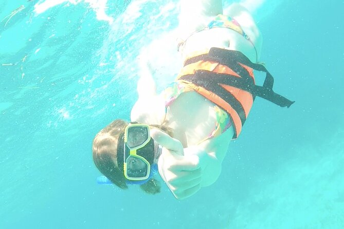 Isla Mujeres Catamaran Tour from Cancun with Snorkel and Open Bar - Who Will Enjoy This Catamaran Day