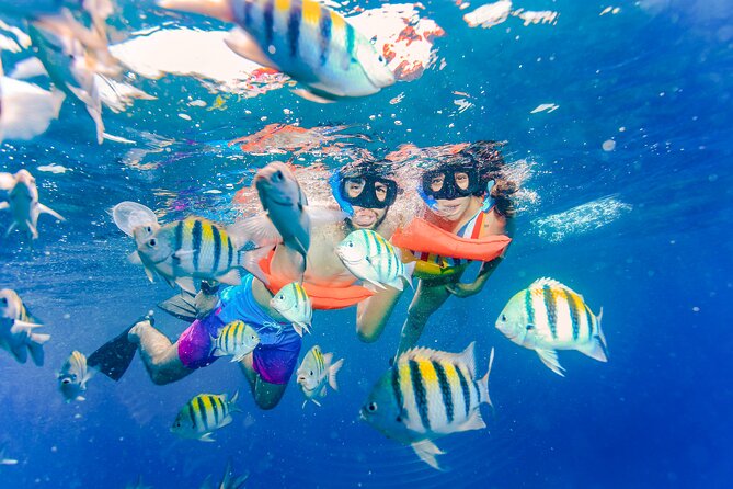Isla Mujeres Catamaran tour with Open Bar, Lunch and Snorkeling - Communication, Crowds, and the Pace of the Day