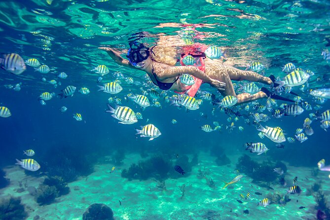 Isla Mujeres Catamaran tour with Open Bar, Lunch and Snorkeling - What to Bring and What to Confirm