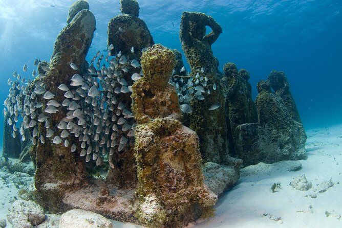 Isla Mujeres Catamaran Tour with Snorkeling at MUSA, Buffet Lunch & Open Bar - FAQ