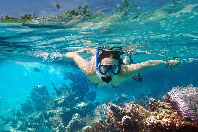 Isla Mujeres Catamaran Tour with Snorkeling, Open Bar & Buffet - Who should book this Isla Mujeres tour