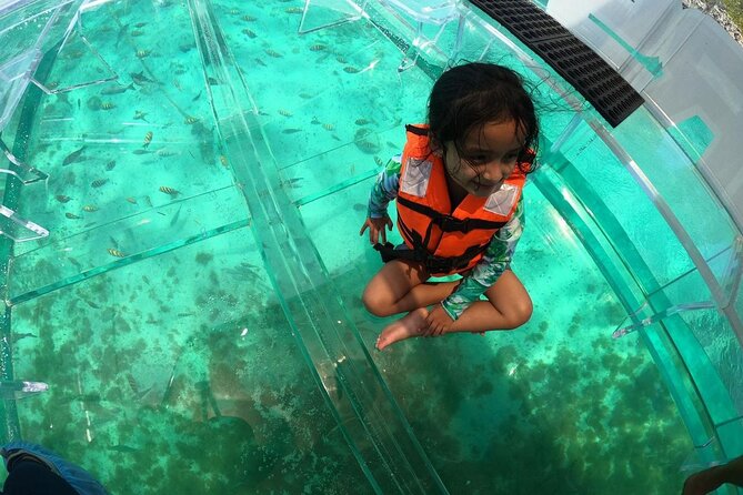 Isla Mujeres: Coral Reef Views from a Clear Boat - What is included, and what you still need