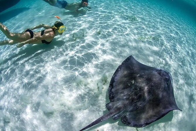 Isla Mujeres: Coral Reef Views from a Clear Boat - El Farito: your first reef view