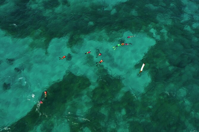 Isla Mujeres Island and Snorkeling Tour - One hour in downtown Isla Mujeres