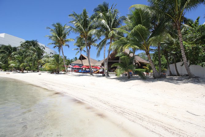 Isla Mujeres luxury catamaran with premium open bar and lunch - Isla Mujeres downtown: one hour of free time