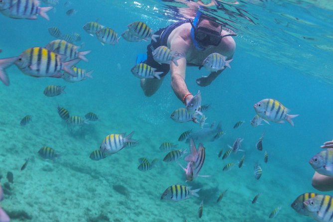 Isla Mujeres Luxury Sailing: Adults Only or Family Friendly - Lunch and the open bar: pleasant, but keep expectations in check