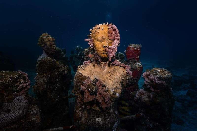 Isla Mujeres: MUSA and the Manchones Reef: 2 Tank Dive Tour - MUSA: Where sculpture becomes sea life