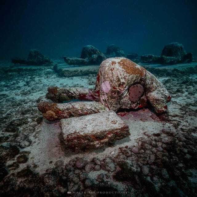 Isla Mujeres: MUSA and the Manchones Reef: 2 Tank Dive Tour - Manchones Reef and the second tank