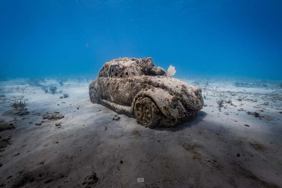 Isla Mujeres - MUSA and the Manchones Reef - Snorkel - What the MUSA swim may look like