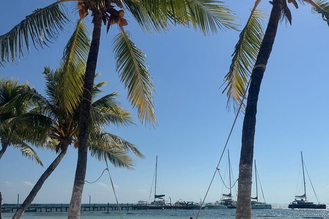Isla Mujeres Plus Tour with Snorkeling Buffet and Open Bar - Starting at Playa Tortugas in Cancun