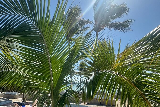 Isla Mujeres Plus Tour with Snorkeling Buffet and Open Bar - What kind of day this tour creates