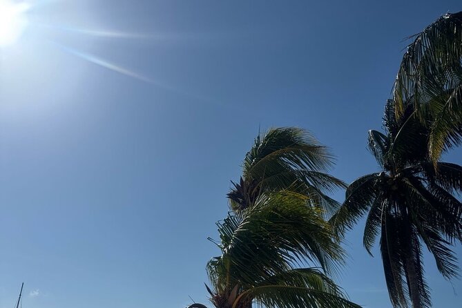 Isla Mujeres Plus Tour with Snorkeling Buffet and Open Bar - Practical details that affect your decision