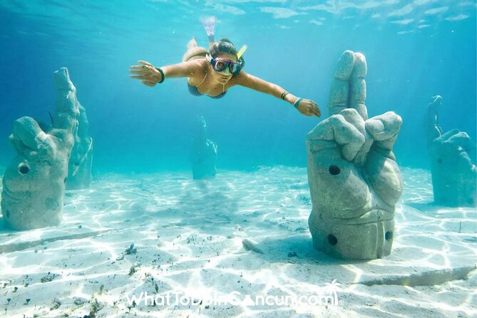Isla Mujeres Premium Tour Transportation & Dock fee Included - What the open bar really adds