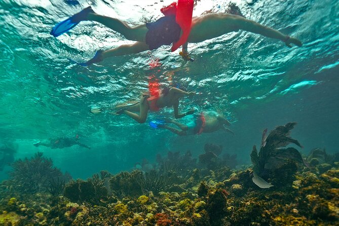 Isla Mujeres, Snorkel, Lunch & Pick Up from Cancun to P.Morelos - Breakfast, drinks, and the trimaran ride