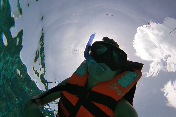 Isla Mujeres Snorkeling Adventure at the Underwater Museum - MUSA and the reefs: a four-hour look at Isla Mujeres underwater