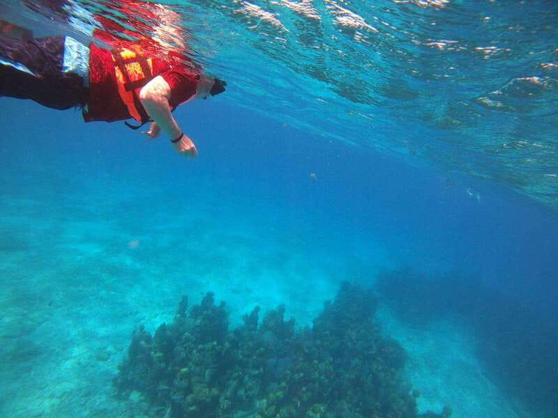 Isla Mujeres: Snorkeling Adventure at the Underwater Museum - Is $57 a fair price for this morning?