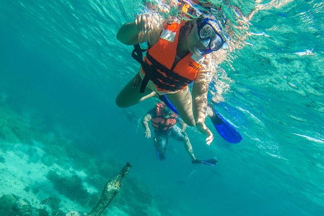 Isla Mujeres Snorkeling Tour Adventure - Lighthouse Reef brings the best shallow-water viewing