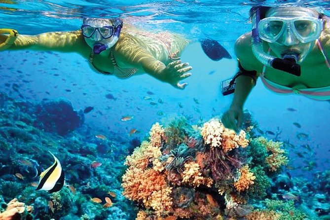 Isla Mujeres tour in a Catamaran with snorkel, open bar, lunch - Booking advice and cancellation rules
