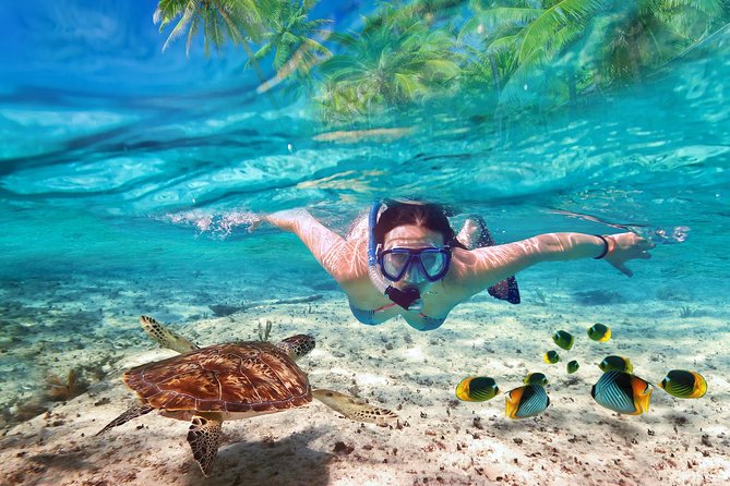 Isla Mujeres tour in a Catamaran with snorkel, open bar, lunch - Catamaran drinks, music, and the spinnaker ride