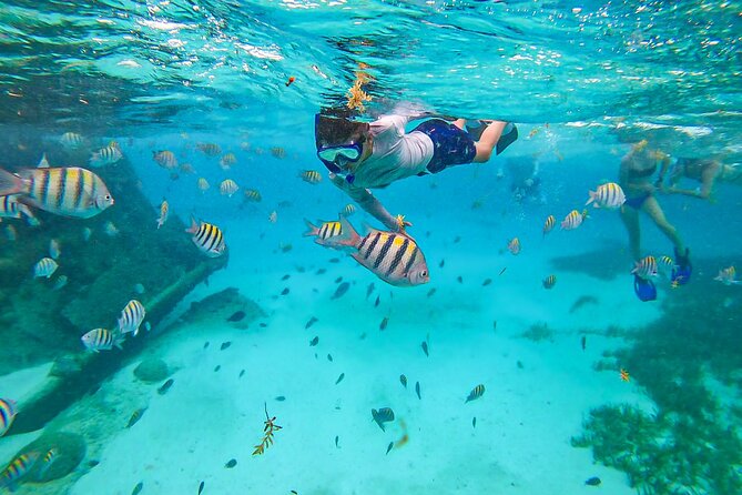 Isla Mujeres Tour, Snorkel and Golf Cart included - Snorkeling at the shipwreck site