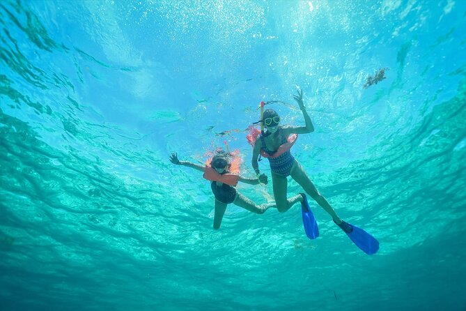 Isla Mujeres Unlimited! enjoyable party with transportation - Should you book Isla Mujeres Unlimited?