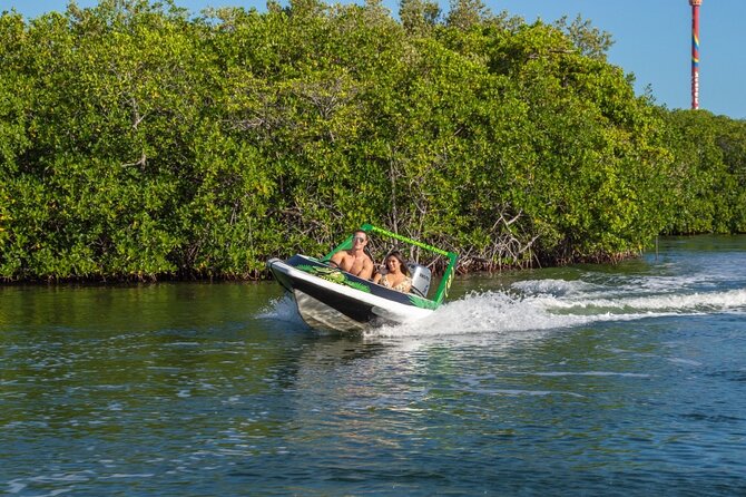 Jungle Tour Adventure Cancun: Jungle Tour Cancun Explore - What to look for among the mangroves
