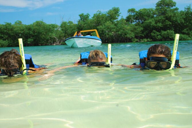 Jungle Tour Adventure in Cancun with Snorkeling - Who will enjoy this Cancun boat trip