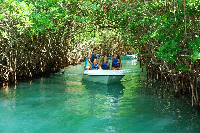 Jungle Tour In Cancun, drive a speedboat through the lagoon with your companion - Booking, Weather, and Last-Minute Changes