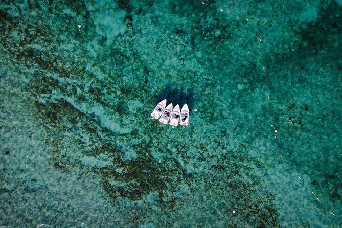 Jungle Tour & Snorkel at Punta Nizuc Reef , Underwater museum - Driving from Marina Puerto Madero to Punta Nizuc