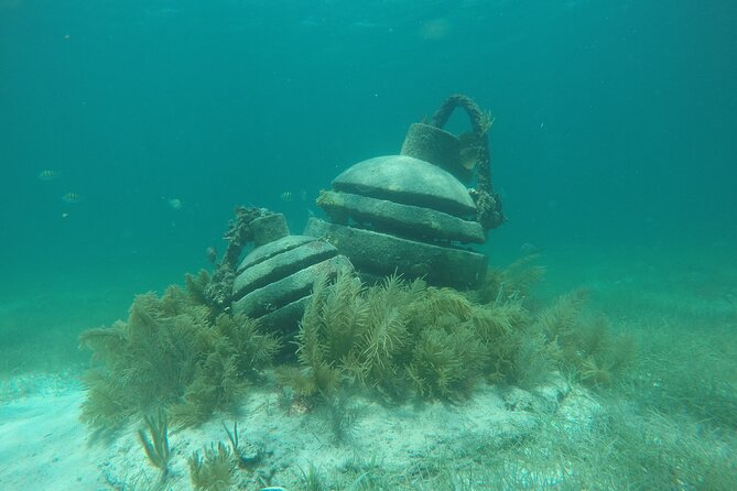 Jungle Tour & Snorkel at Punta Nizuc Reef , Underwater museum - What the mangroves add to the ride