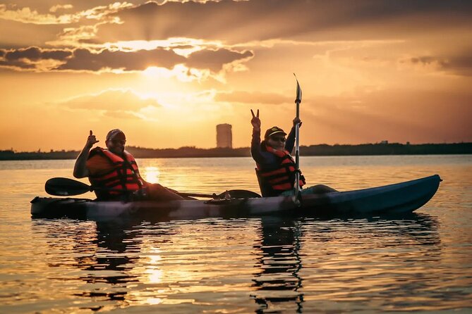 Kayak Adventure in Cancun - Why Cancun’s mangroves are worth your time
