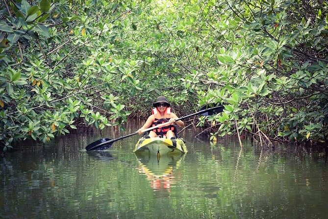 Kayak Adventure in Cancun - Paddling into the mangrove channels
