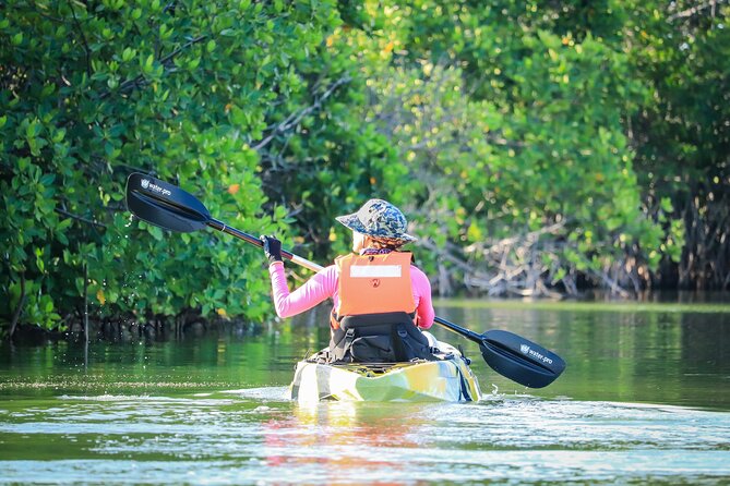 Kayak Adventure in Cancun - Is $47.73 a good price?