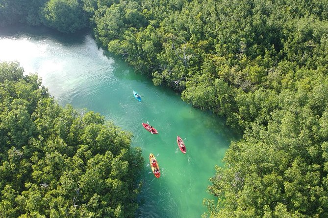 Kayak adventure through Laguna Nichupté in Cancun - Meeting at Boulevard Kukulcan