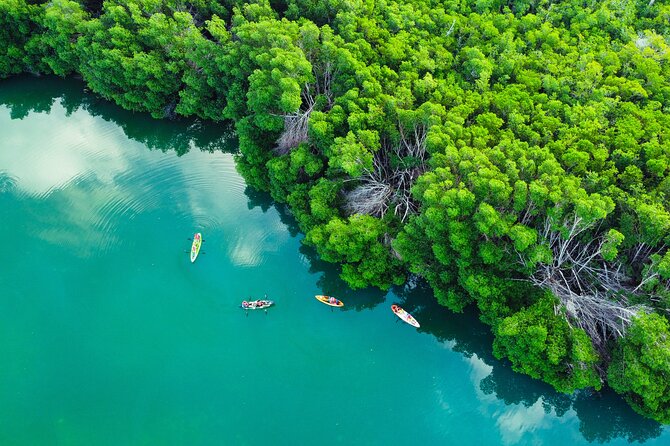 Kayak Tour at Sunset in Cancun - Who Will Enjoy This Kayak Tour