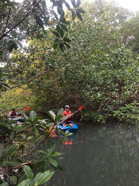 Kayak Tour in Cancun with Photos included - Timing, cancellation, and access