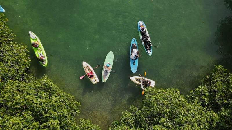 Kayak Tour in Cancun with Photos included - Why Nichupté Lagoon is worth your time