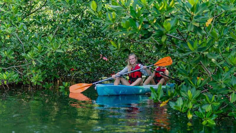 Kayak Tour in Cancun with Photos included - The 15-minute safety briefing