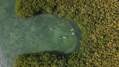 Kayak Tour in Cancun with Photos included
