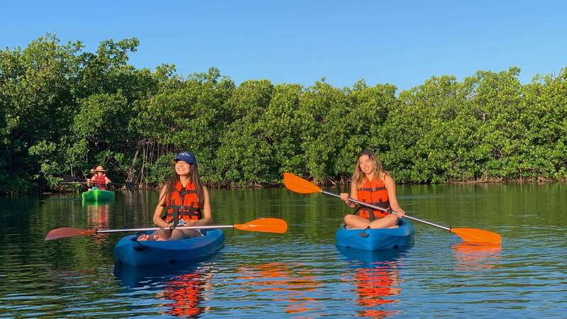 Kayak Tour in Cancun with Photos included - Two hours among mangroves and quiet water